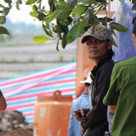 Clip bé trai rơi xuống trụ bê tông mới nhất