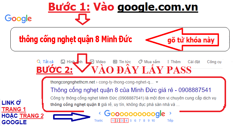 TÚ VY 9632 – SINH VIÊN NĂM CUỐI ĐẠI HỌC